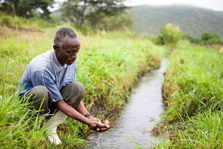 Water sourced from an irrigation project, Rwenzori Mountains, Uganda: Water sourced from an irrigation project, which diverts water from the river to farmland. Rwenzori Mountains, Uganda. Photograph© WWF-Canon / Simon Rawles